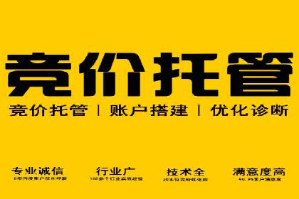 百度竞价广告的创意执行：成功案例详解